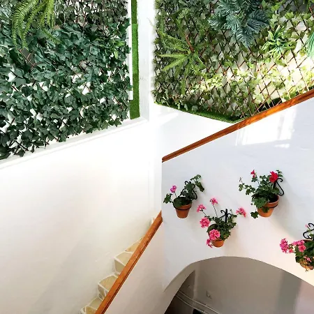 Adosado Flores Prázdninový dům Benalmádena